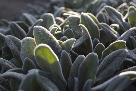 悬崖照片-正版商用图片19ymfm-摄图新视界