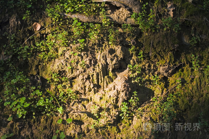 悬崖照片-正版商用图片19ymfm-摄图新视界