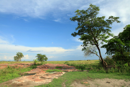 湖景观湖阿纳帕乌干达 非洲