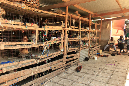 鸡市场soroti，乌干达非洲