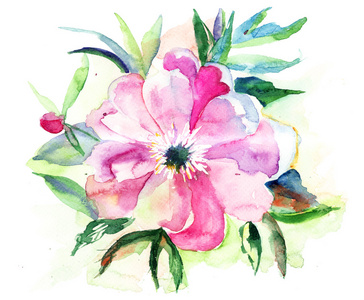 程式化粉红色的花，水彩插画