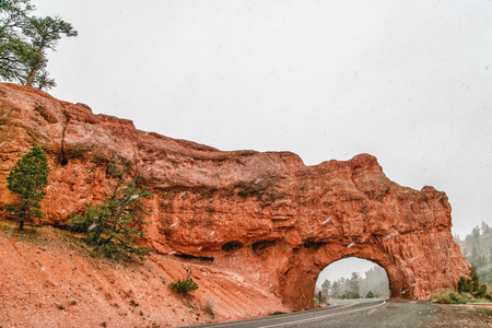 冬季在红色岩石峡谷道
