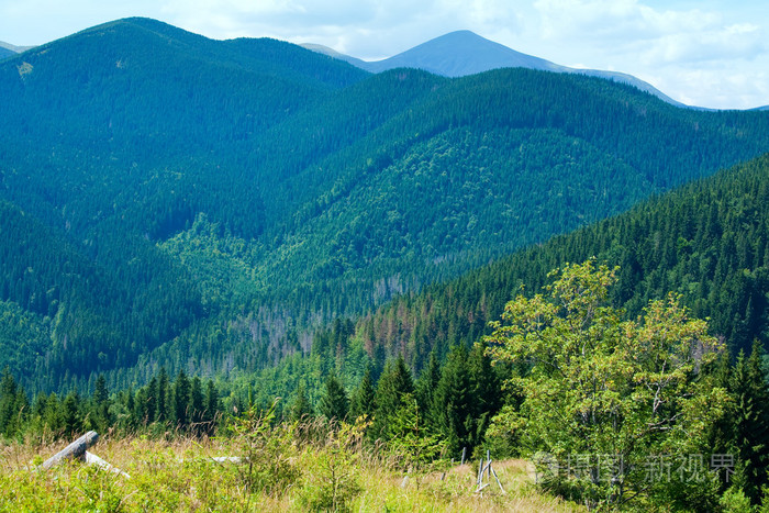 夏天山风景