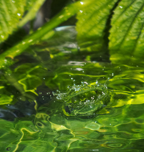 雨水的拖放