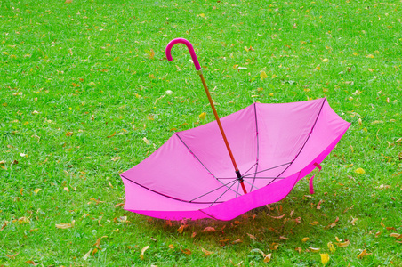 草地上的伞