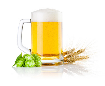 抢鲜啤酒的绿色的啤酒花和大麦上孤立的耳朵