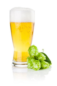 杯新鲜啤酒与绿色跃隔离上白色 backgrou