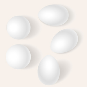 鸡蛋向量