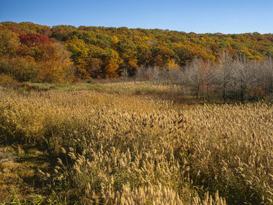 秋季场面在哈里曼州立公园