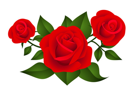 三红玫瑰。矢量插画