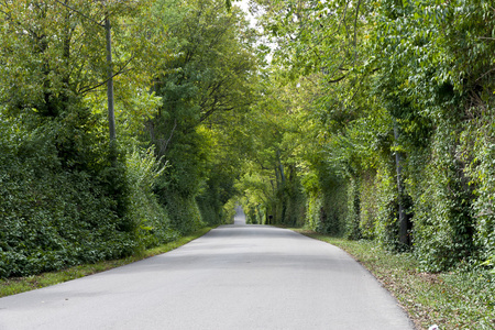 乡村道路