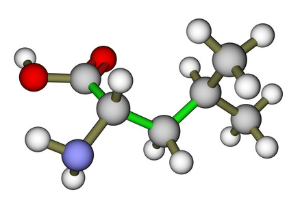 人体必需的氨基酸必需氨基酸亮氨酸分子的结构照片