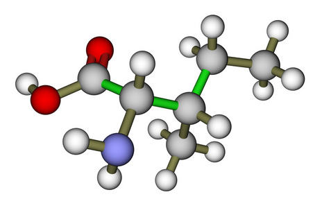 人体必需的氨基酸必需氨基酸异亮氨酸分子的结构照片