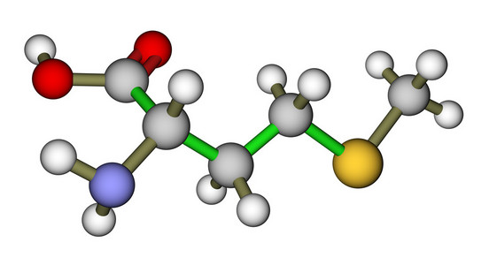 人体必需的氨基酸必需氨基酸蛋氨酸分子的结构照片