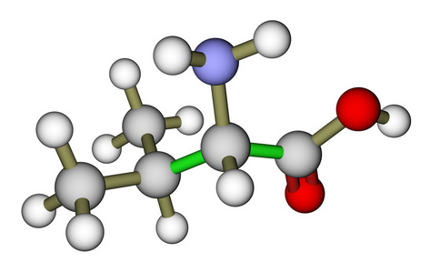 人体必需的氨基酸必需氨基酸缬氨酸分子的结构照片