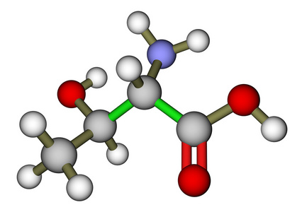 人体必需的氨基酸必需氨基酸苏氨酸分子的结构照片