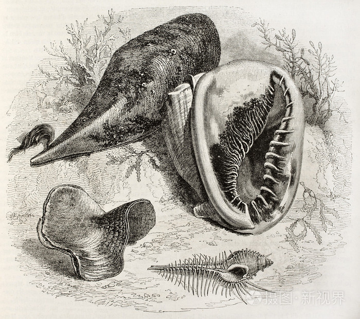 海洋生物学之二