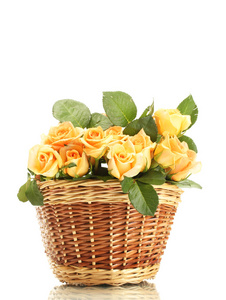 束美丽的玫瑰在篮子上白色隔离