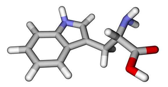 人体必需的氨基酸必需氨基酸色氨酸 3d 分子的结构照片