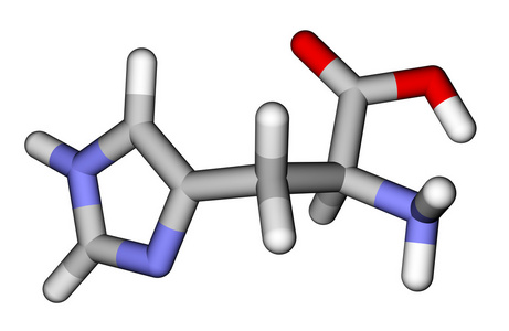 人体必需的氨基酸必需氨基酸组氨酸 3d 分子模型照片