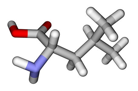 人体必需的氨基酸必需氨基酸亮氨酸 3d 分子模型照片