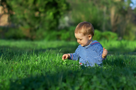 漂亮的小男孩坐在中间绿草春天草坪上