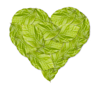 用绿色的树叶的绿色心脏健康