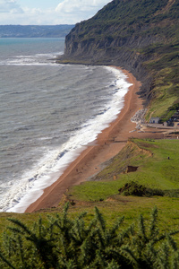 seatown 海滩和海岸线无角陶赛特