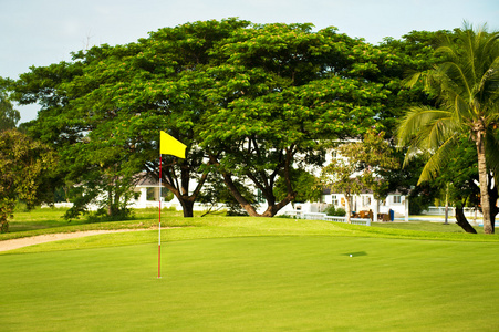 高尔夫球场。热带景观