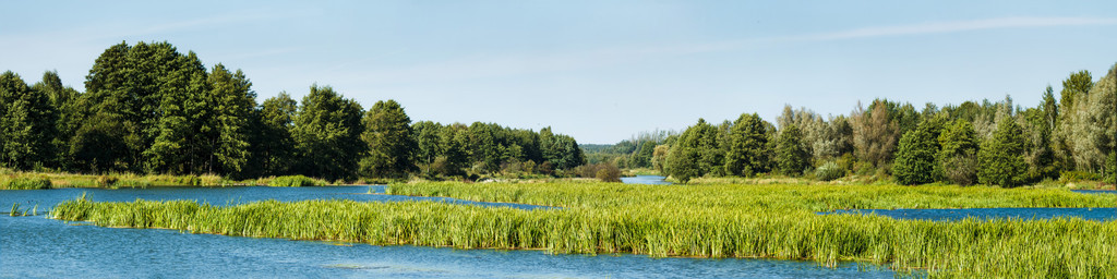 湖泊风景