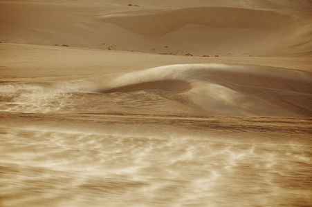 在撒哈拉沙漠沙丘风沙