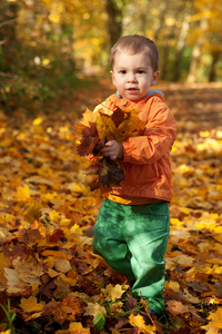 可爱的小孩男孩与枫树叶子在阳光明媚的秋日