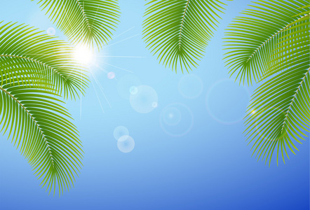 阳光明媚的蓝色天空和棕榈树枝