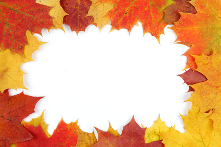 帧组成的多彩的秋天树叶