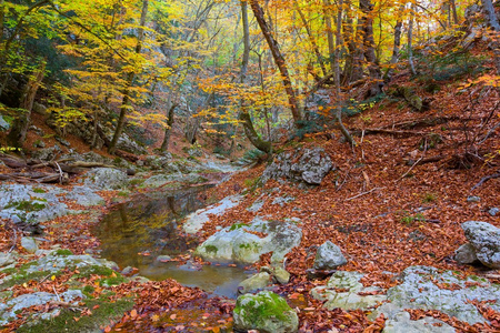 在高山峡谷中的秋河