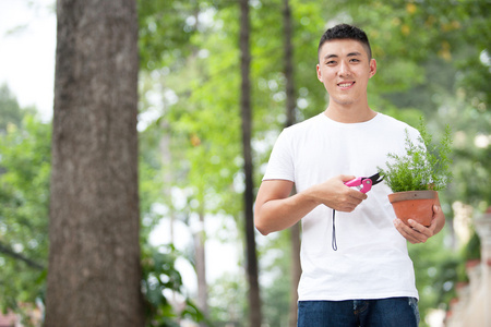 年轻英俊的亚洲学生送一种植物