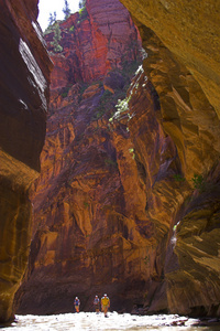 峡谷小溪和河流