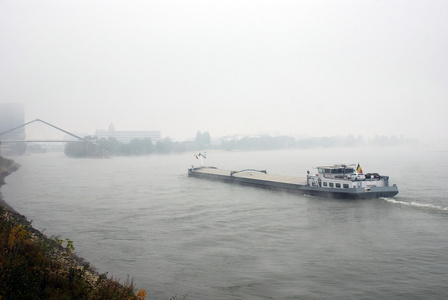 雾在莱茵河