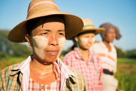 缅甸农民站在行