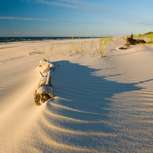在日落海滩上沙丘