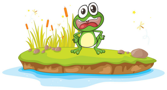 一只青蛙和水