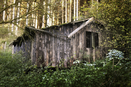 在林中小屋