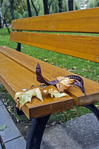 秋天的叶子的长凳上，