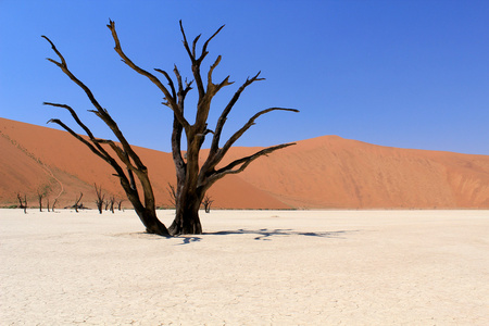 在 sesrie 附近的 nanib 沙漠 sossusvlei 死谷景观