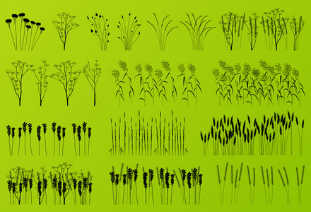植物 草和花朵详细的剪影图集合背景矢量