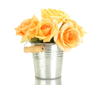 束美丽的玫瑰在桶上白色隔离