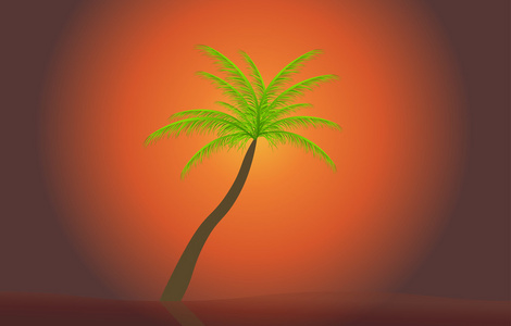 棕榈在夕阳下。矢量插图。10 eps