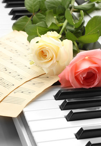 玫瑰与钢琴键盘的背景图片