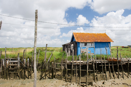 Oyster btar i franska oleron