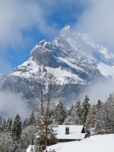 在阿尔卑斯山的冬天